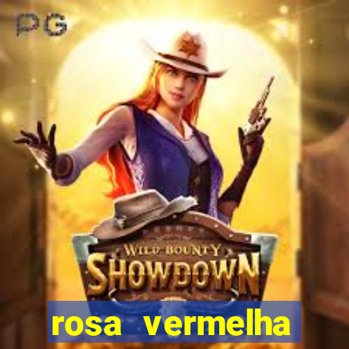 rosa vermelha (letra e cifra)